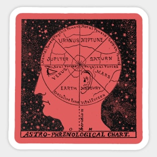 Phrenology Sticker